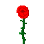 Cover image for Black Rose
