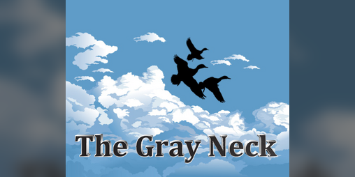 Cover image for The Gray Neck