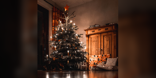 Cover image for The Good Christmas Tree
