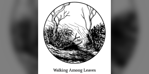 Cover image for Walking Among Leaves