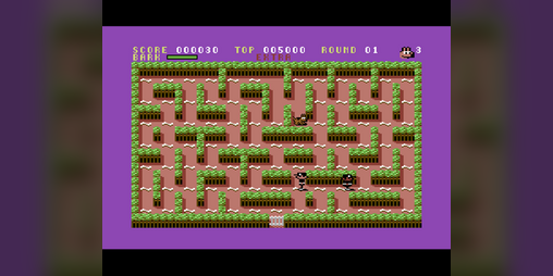 Cover image for Scout The Stray (C64)