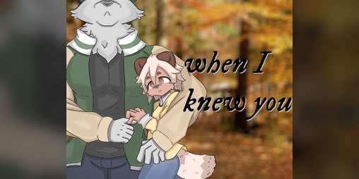 Cover image for When I Knew You