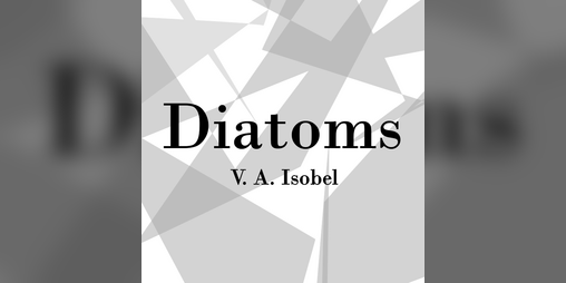 Cover image for Diatoms