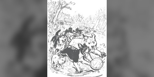 Cover image for Puppies!