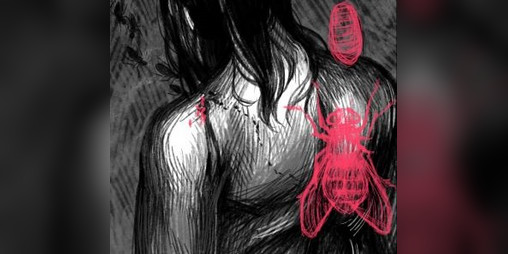Cover image for SWALLOW