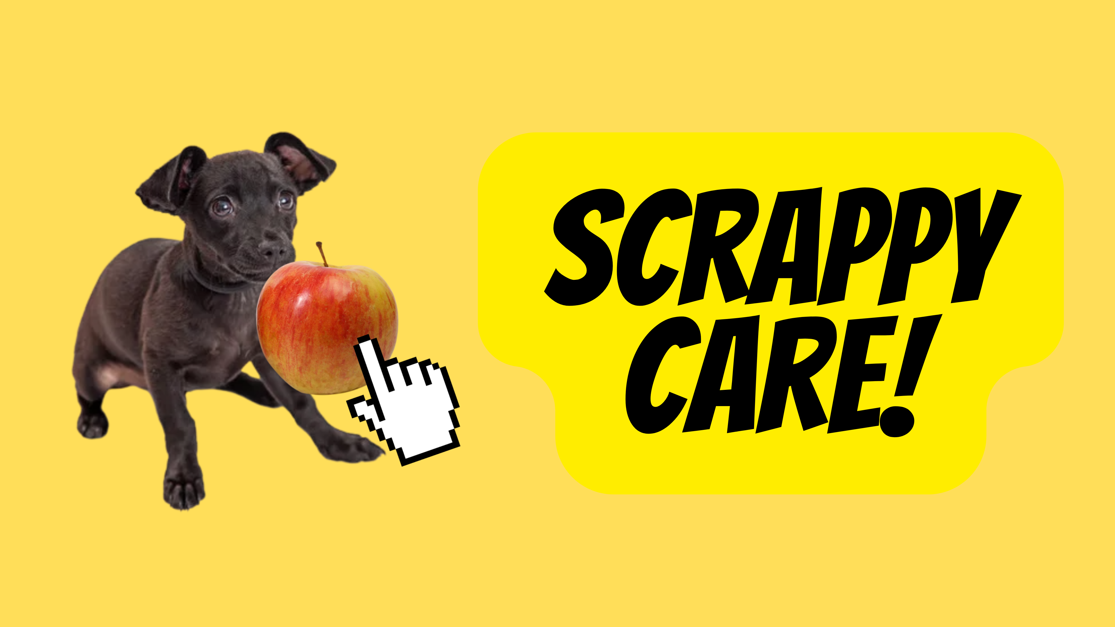 Scrappy Care