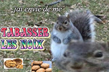 Casse-Noix