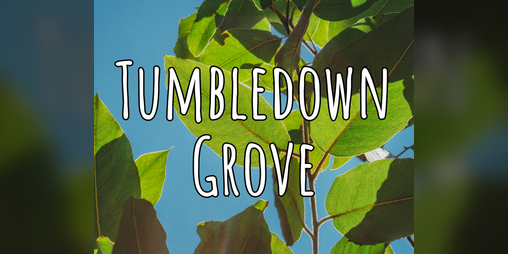 Cover image for Tumbledown Grove
