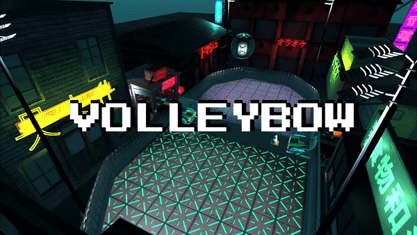 Cover image for Volleybow
