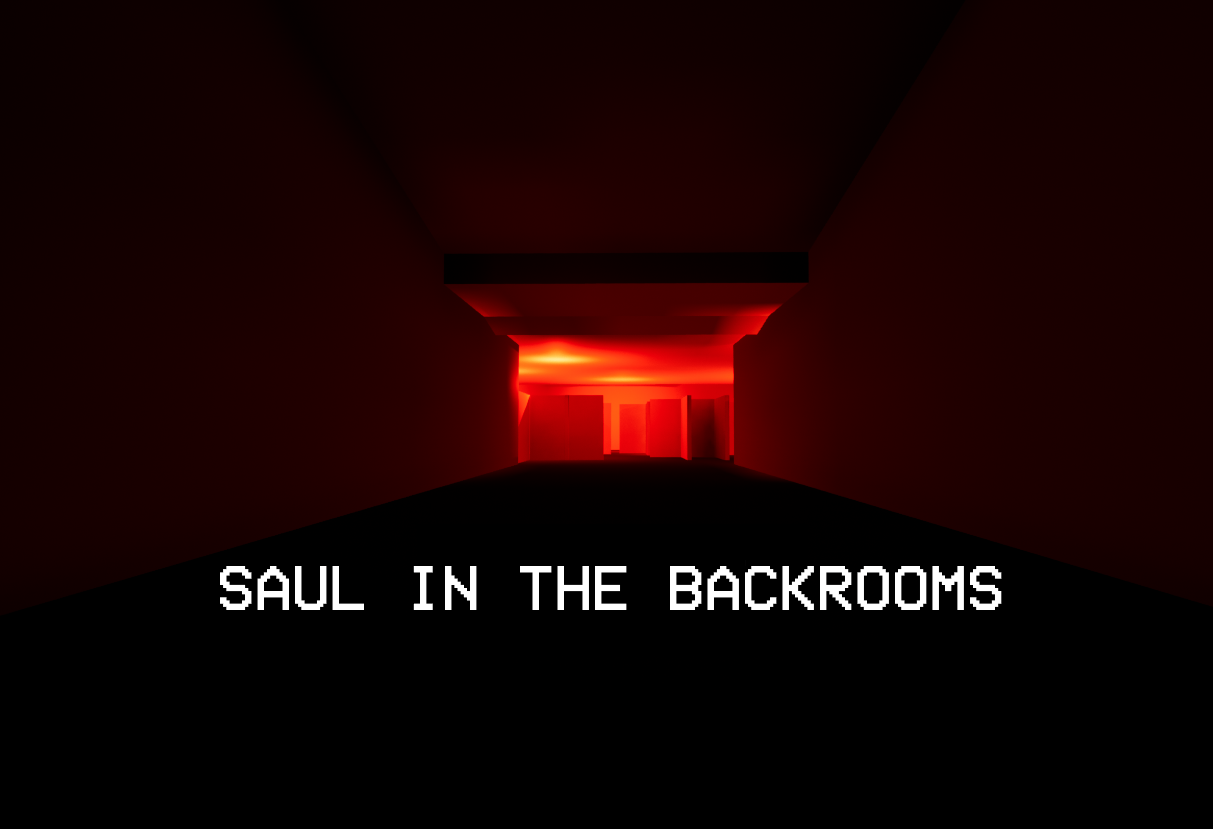 Cover image for Saul in the Backrooms