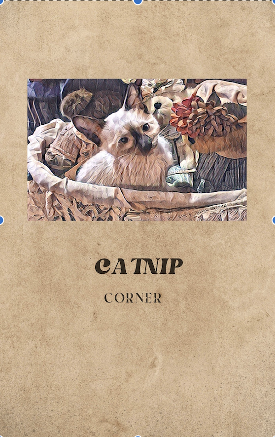Catnip Corner