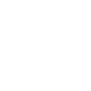 AN_INSECT