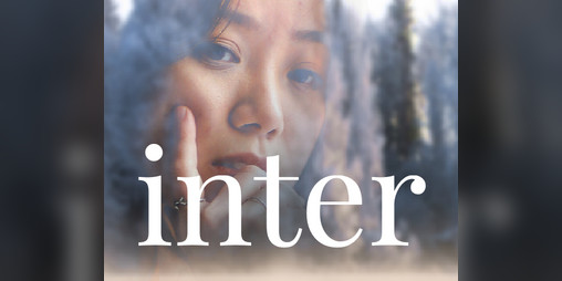 Cover image for Inter