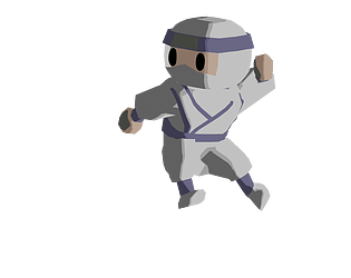 Ninja Training