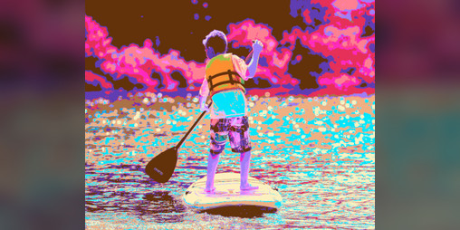 Cover image for Paddler