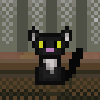 velta the cat beta
