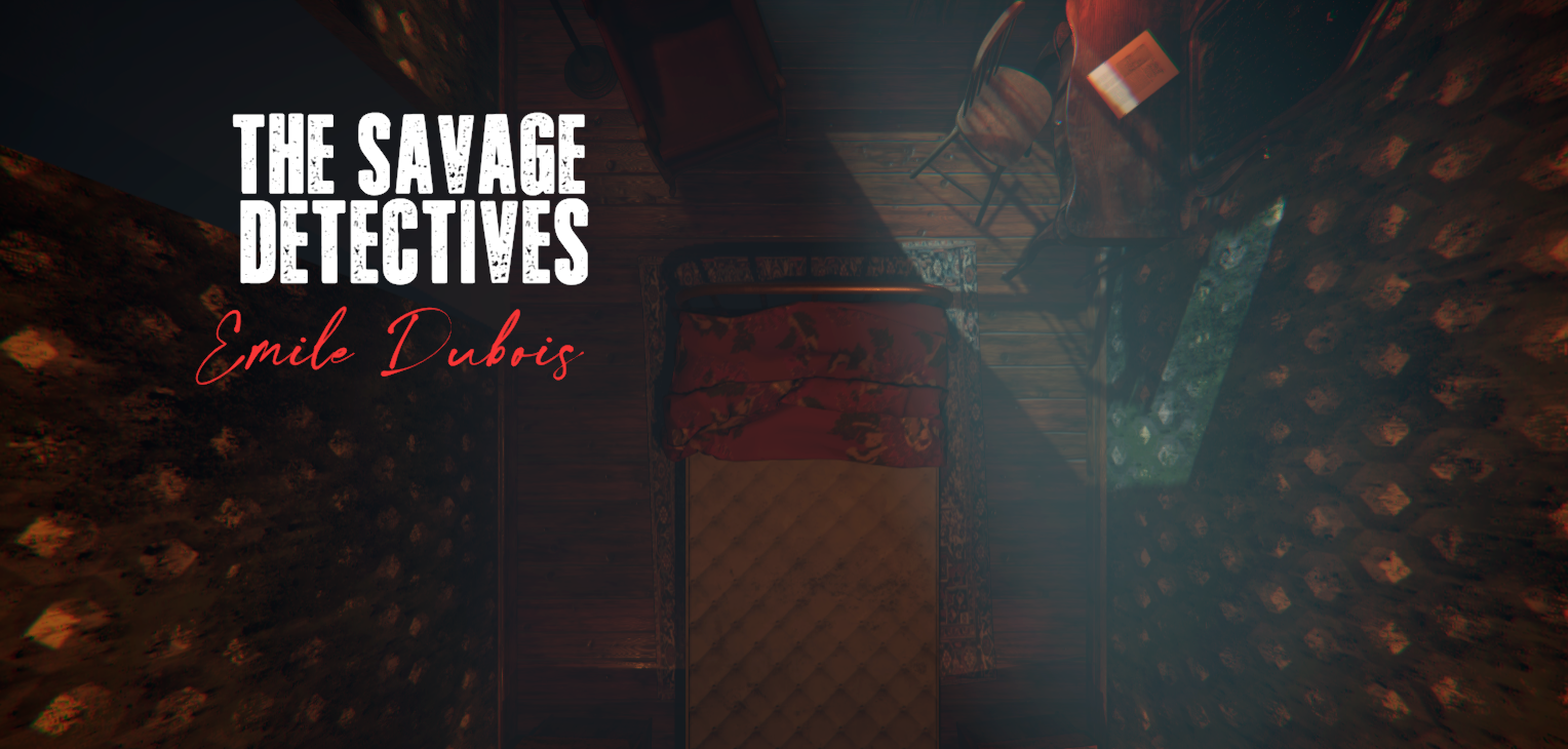 Savage Detectives. Chapter 1: Émile Dubois