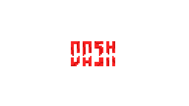 The DASH Guy