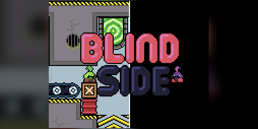 Cover image for Blindside