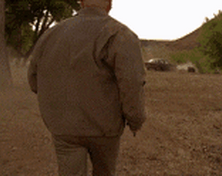 Run Walter Run!