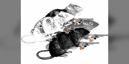 Cover image for Pack Ractics