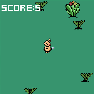 Cover image for Pikago