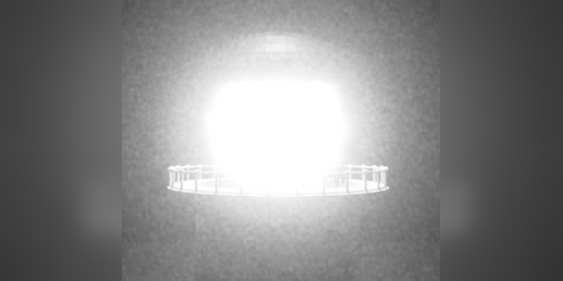 Cover image for Last Light(house)