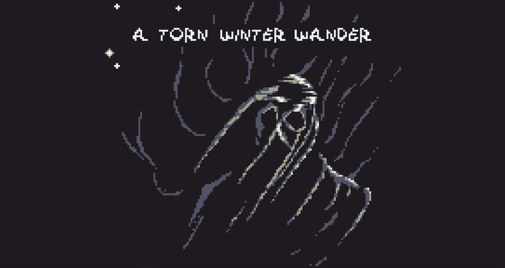Cover image for A torn winter wander