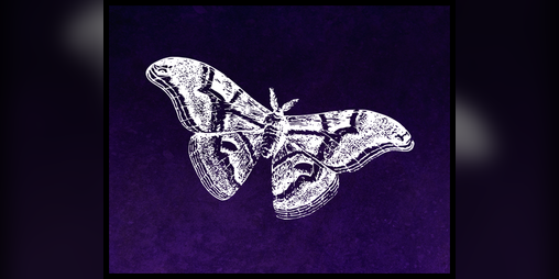 Cover image for Untitled Moth Game