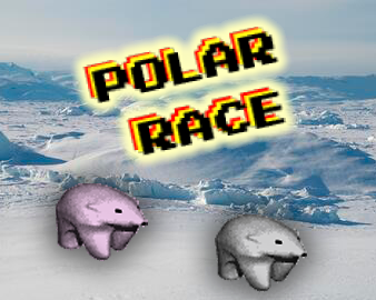 Polar Race by HXGames
