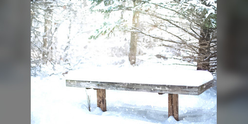 Cover image for A Walk in the Park