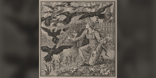 Cover image for These Horrors Twelve