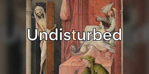 Cover image for Undisturbed