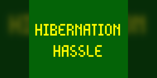 Cover image for Hibernation Hassle
