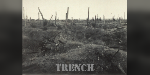 Cover image for Trench