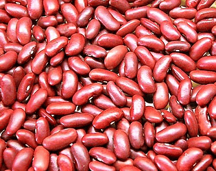 bean roler 2