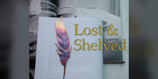 Cover image for Lost & Shelved