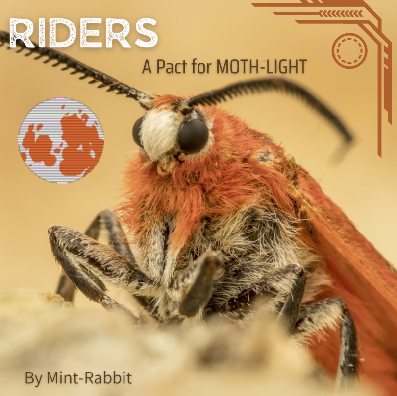 Cover image for MOTH-LIGHT / RIDERS - A Pact