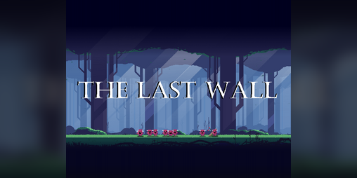 Cover image for THE LAST WALL