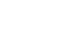 Spida the Dizzy Spider