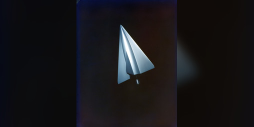 Cover image for The Beowulf