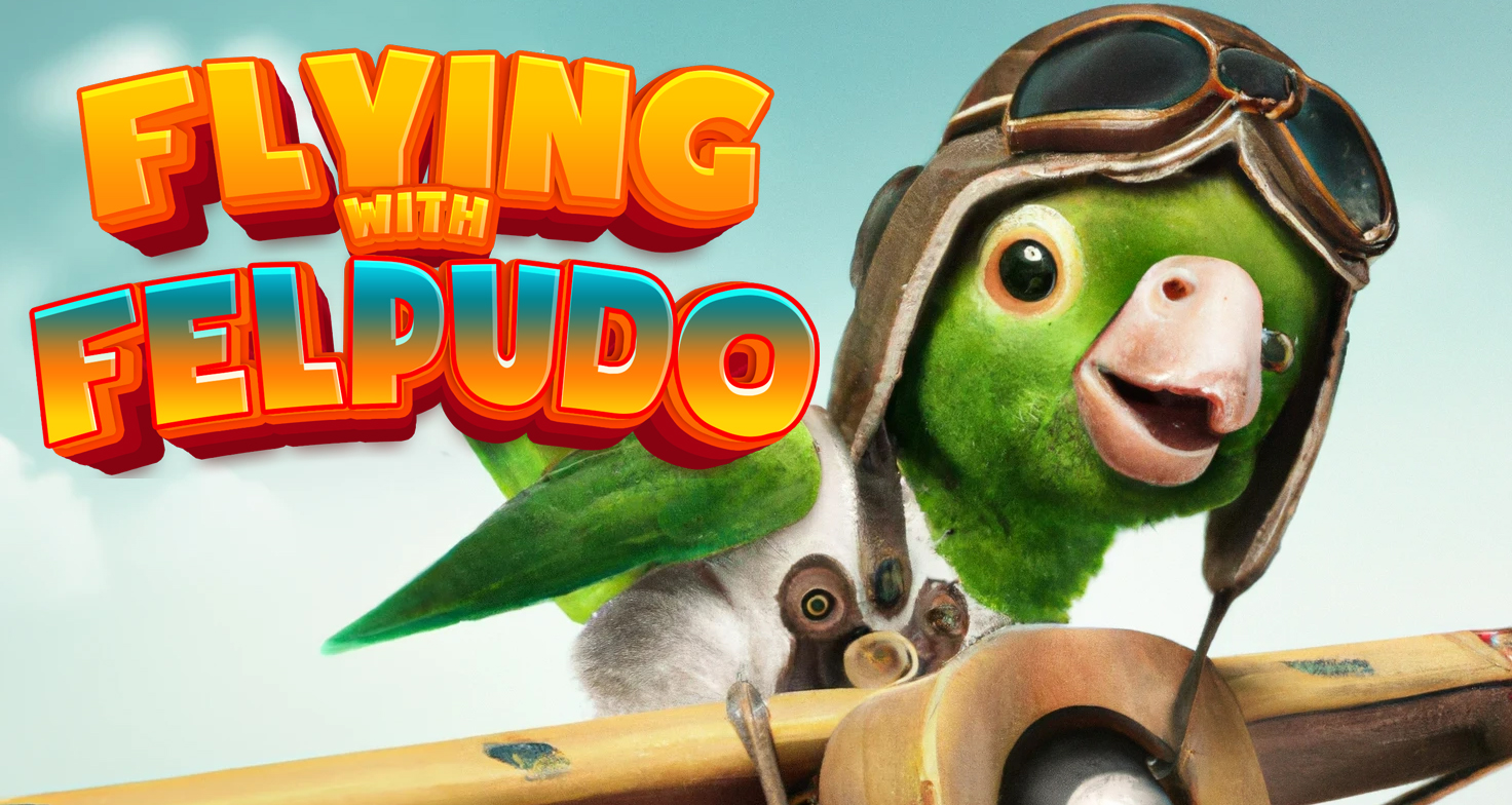 Flying with Felpudo