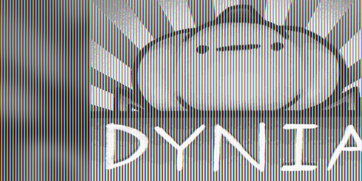 Cover image for Dynia