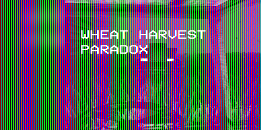 Cover image for Wheat Harvest Paradox