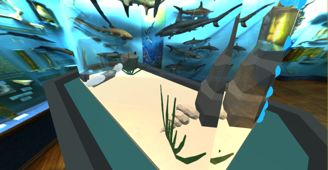 Fish-Tank