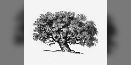 Cover image for Three Tragedies
