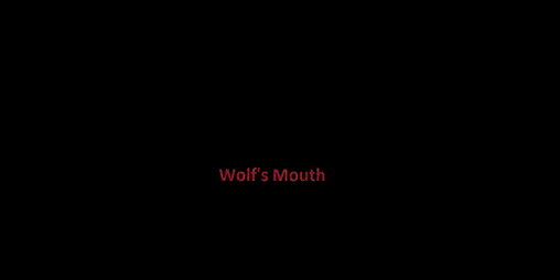 Cover image for Wolf's Mouth