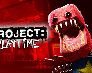 Project playtime