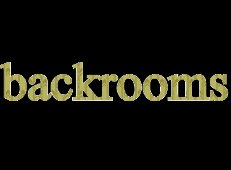 The Backrooms Alpha 0.3 cover