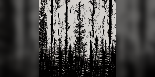 Cover image for The Shivering Forest